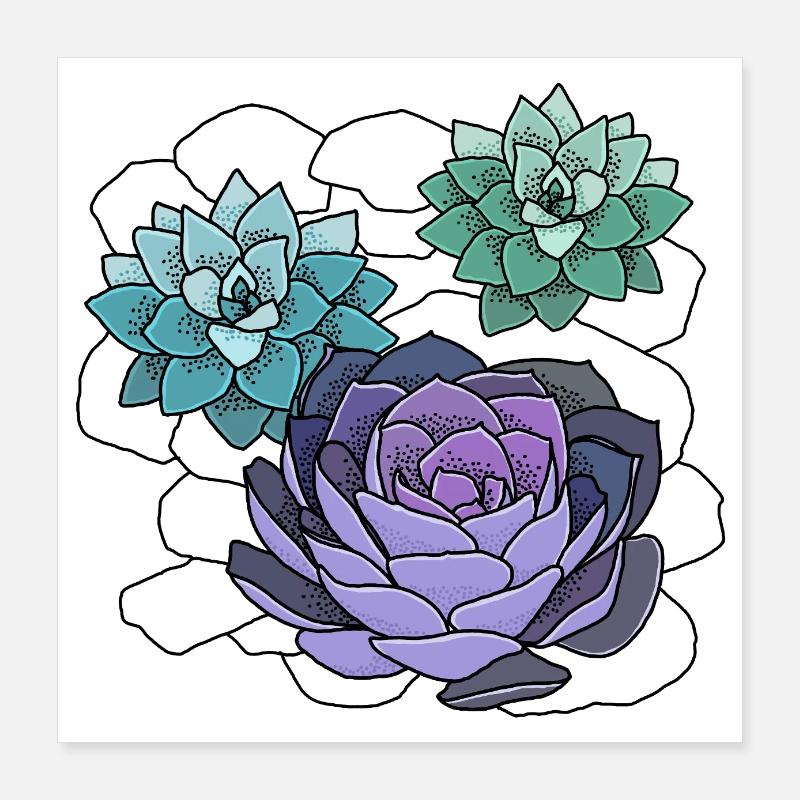 Succulentes Poster 40 x 40 cm