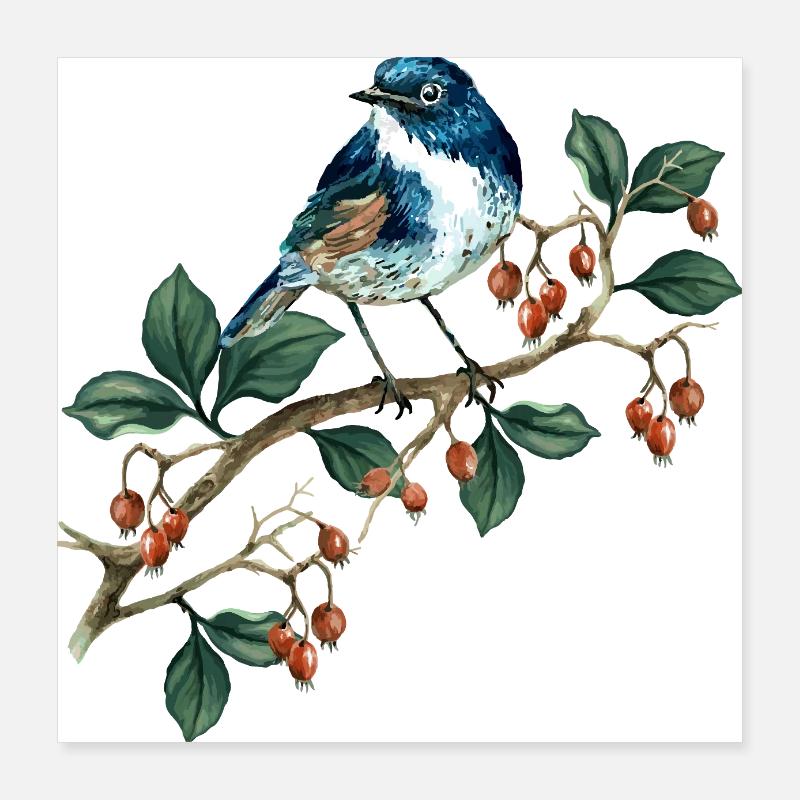 Oiseau coloré Poster 40 x 40 cm