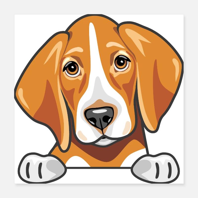 Spähender süßer trauriger Foxhound Poster 40x40 cm