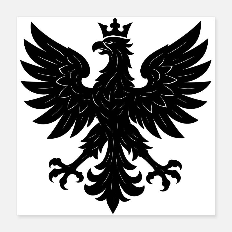 Pologne Polska Aigle Drapeau Drapeau Graphique Cadeau Poster 40 x 40 cm