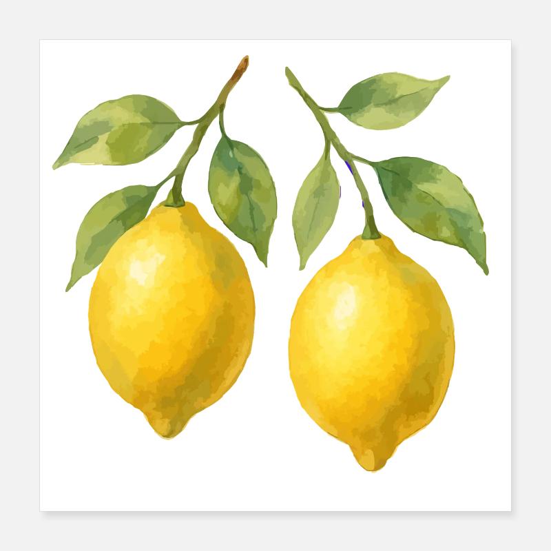 lemons Poster 16" x 16" (40x40 cm)