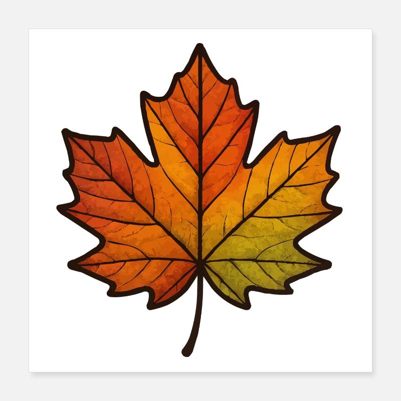 blatt herbst ahornblatt Poster 40x40 cm