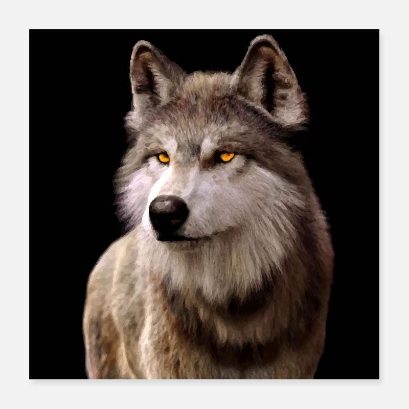 Wolfsblick Bernstein im Dunkel Poster 40x40 cm