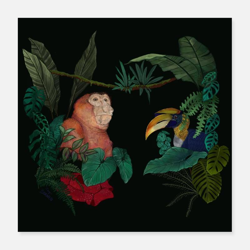 Amour de Bornéo Poster 40 x 40 cm