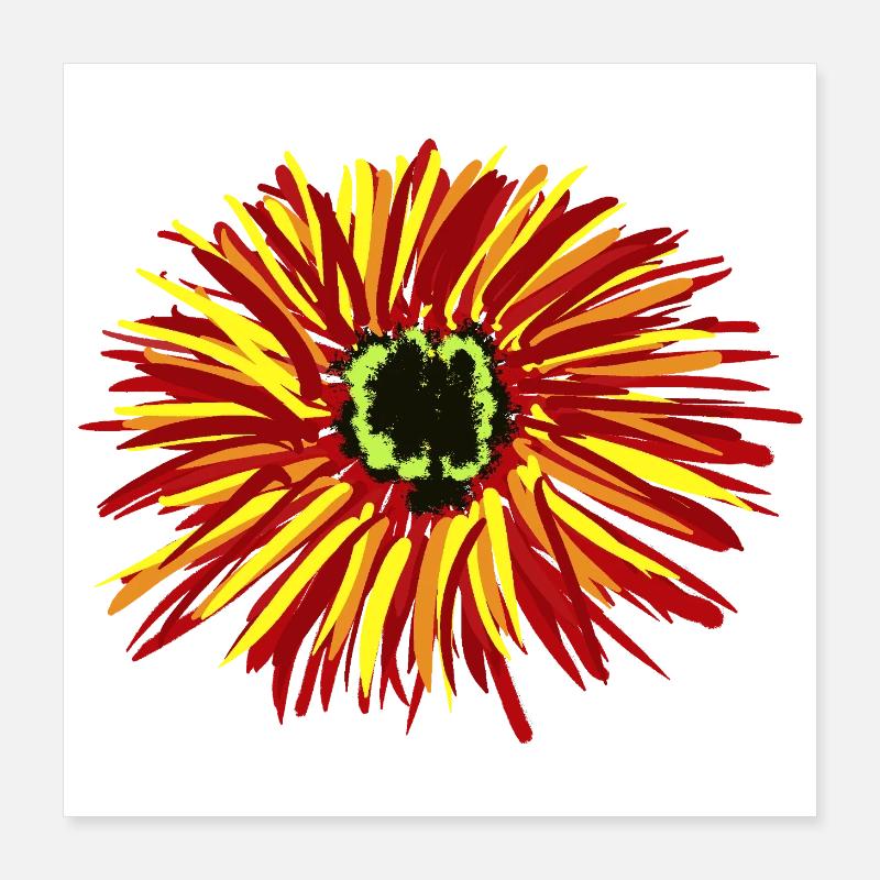 Blumen Blüte Blume  Poster 40x40 cm