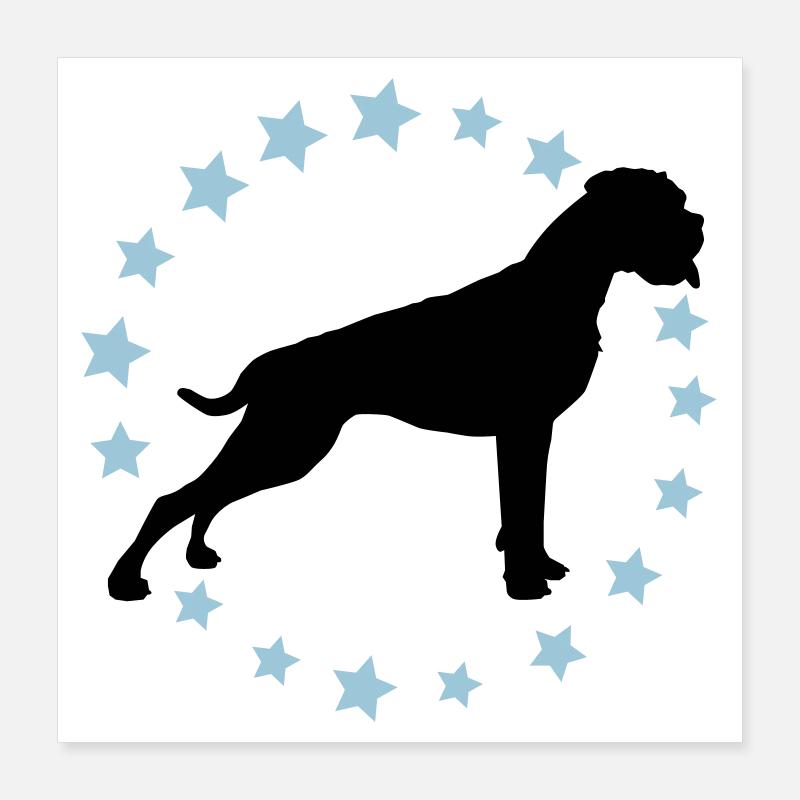 Boxer Zodiac 2 color Poster 16" x 16" (40x40 cm)