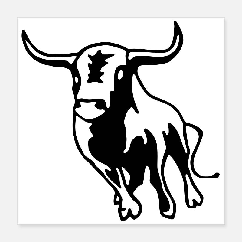 Stier,Torero,Bulle,Matador, Poster 40x40 cm