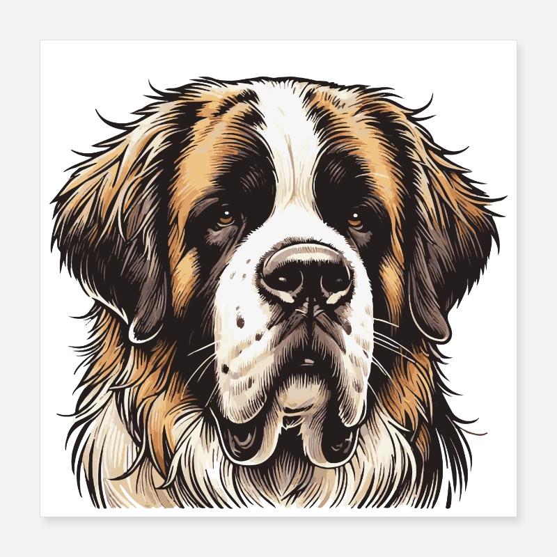 Saint-bernard Poster 40 x 40 cm
