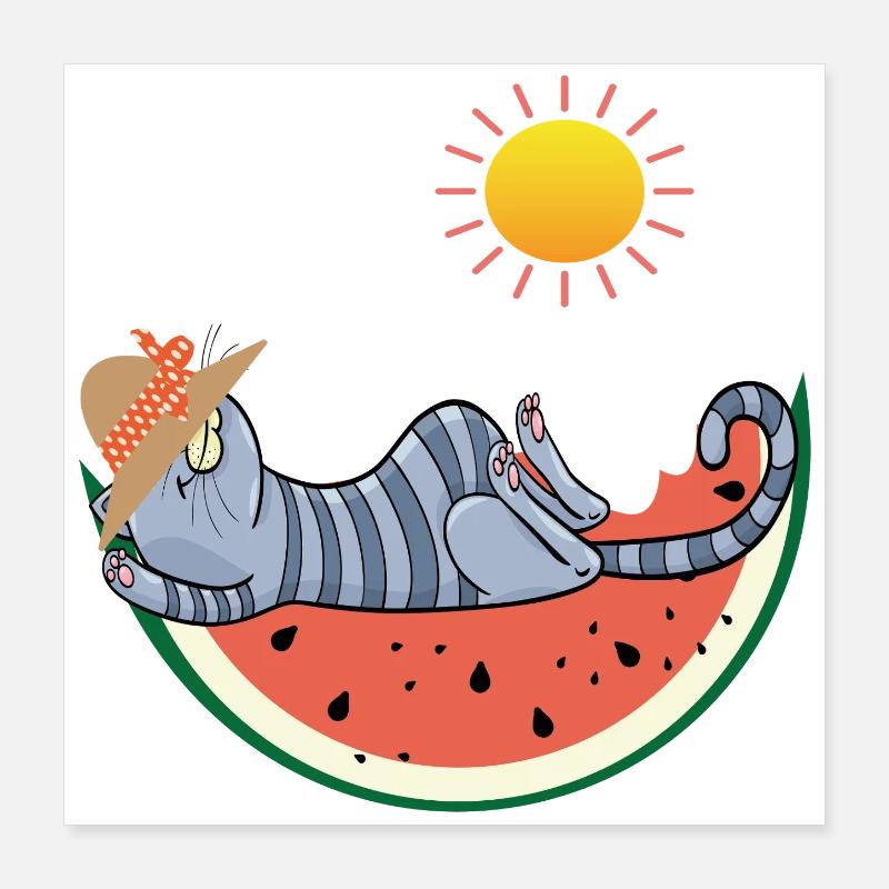 Chat au melon au soleil Poster 40 x 40 cm