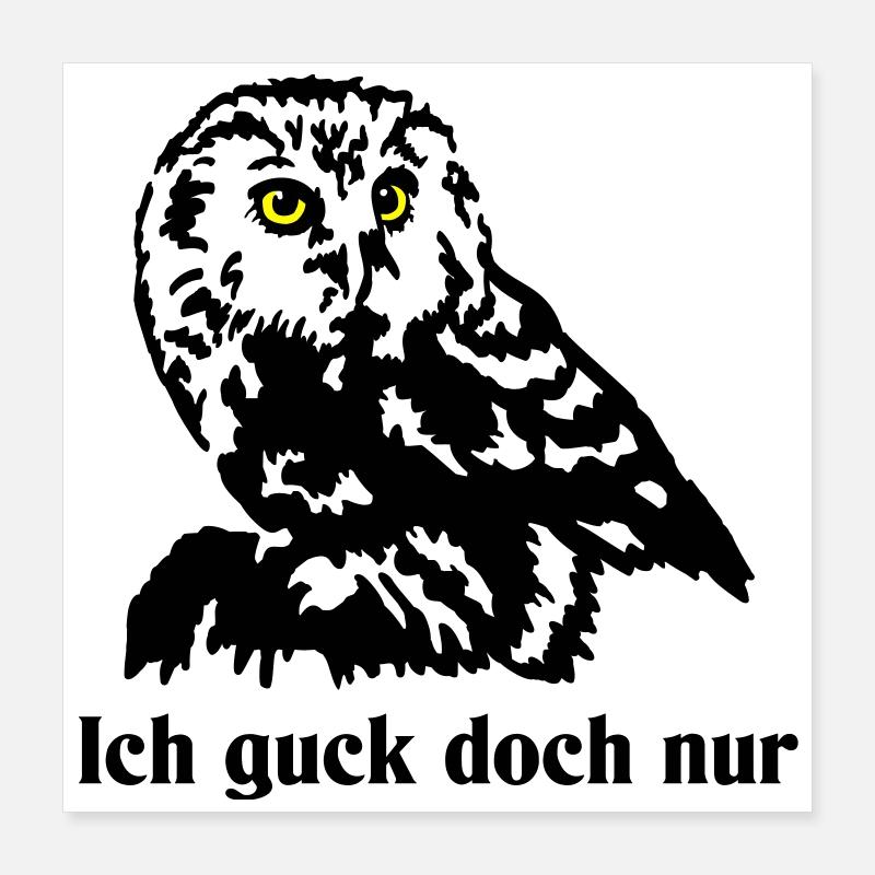 Chouette chevêche Poster 40 x 40 cm