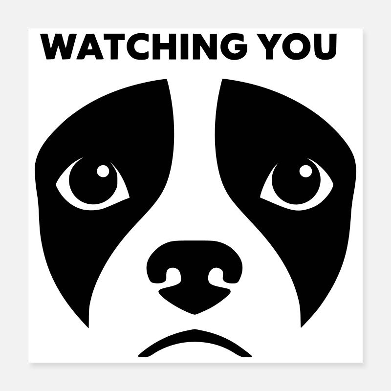 Dog View te regardant dire Poster 40 x 40 cm