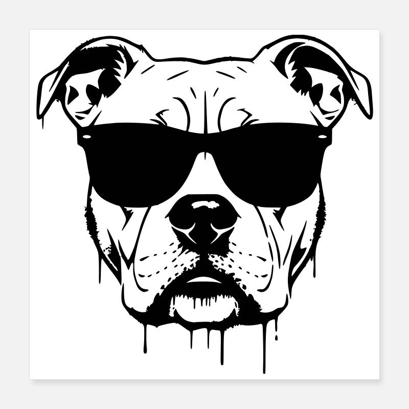 Pitbull Brille Graffiti Poster 40x40 cm