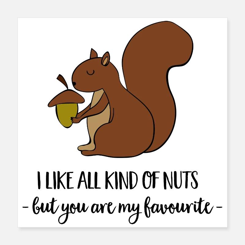 squirrel Poster 16" x 16" (40x40 cm)