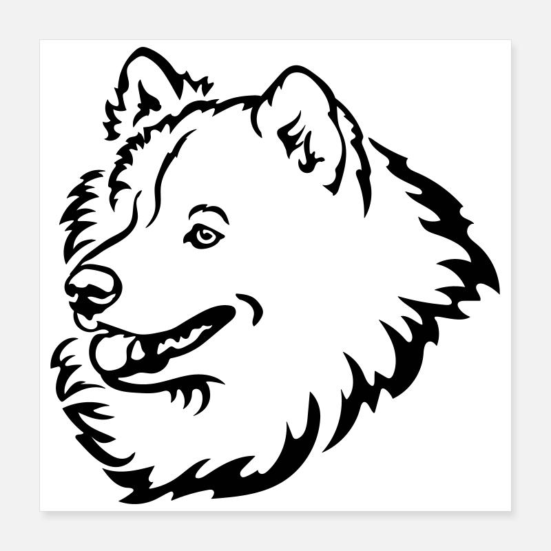 Samojede Kopf Poster 40x40 cm