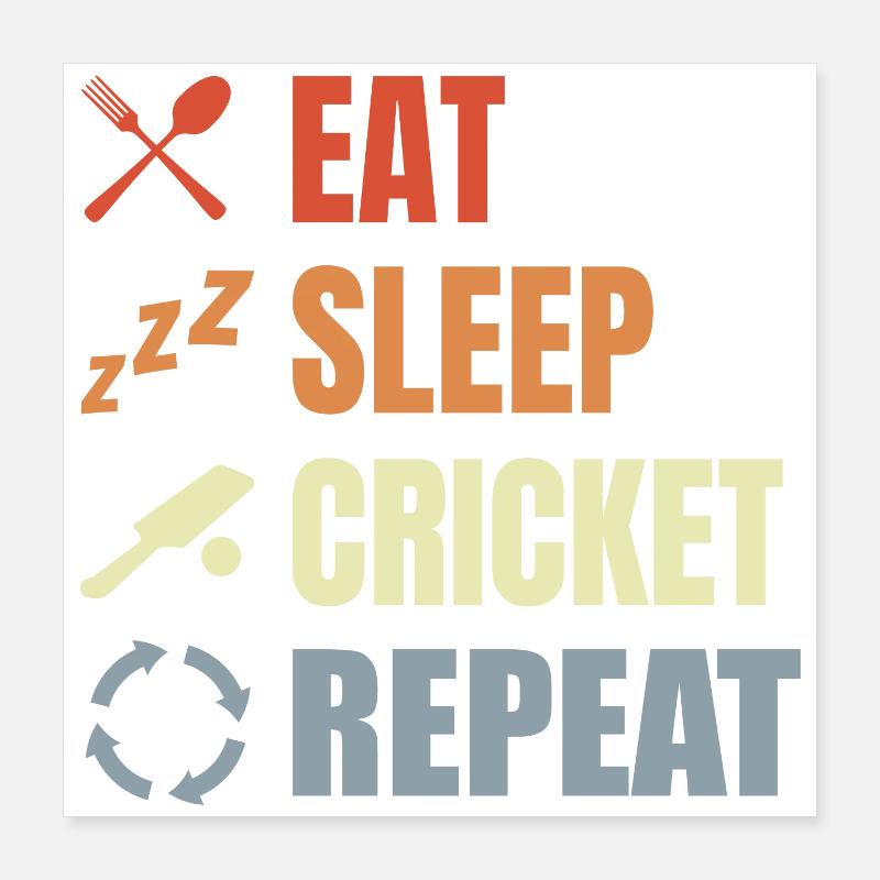 Manger Sommeil Cricket Répéter Poster 40 x 40 cm