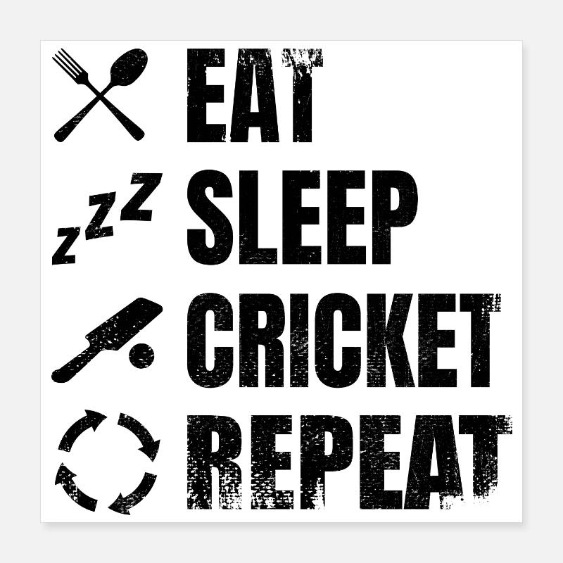 Eat Sleep Cricket Repeat Poster 16" x 16" (40x40 cm)