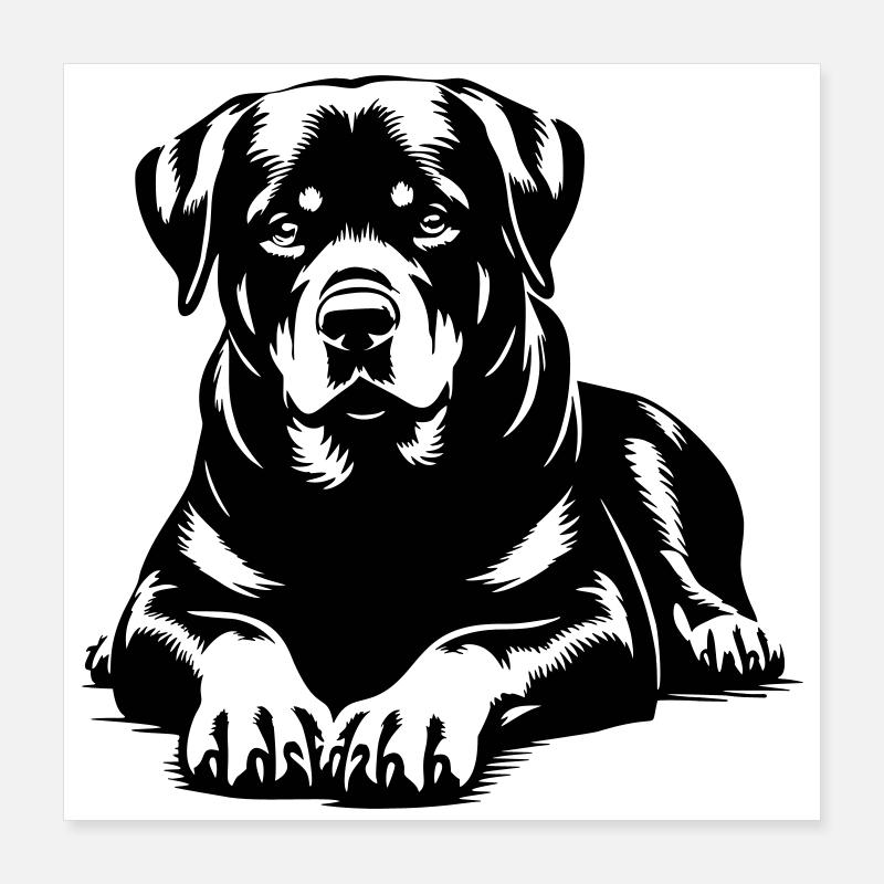 Rottweiler Poster 40 x 40 cm