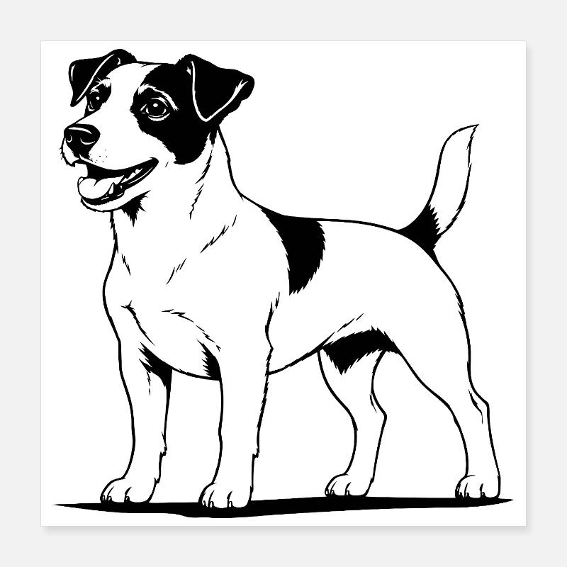 Jack Russell Terrier standing black Poster 16" x 16" (40x40 cm)
