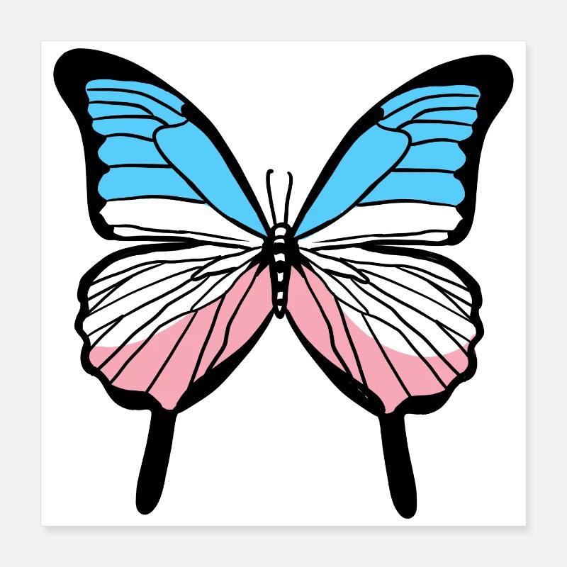 Fierté trans Papillon Fierté transgenre Poster 40 x 40 cm