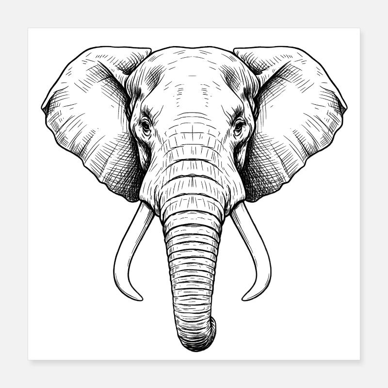 Elefant Poster 40x40 cm