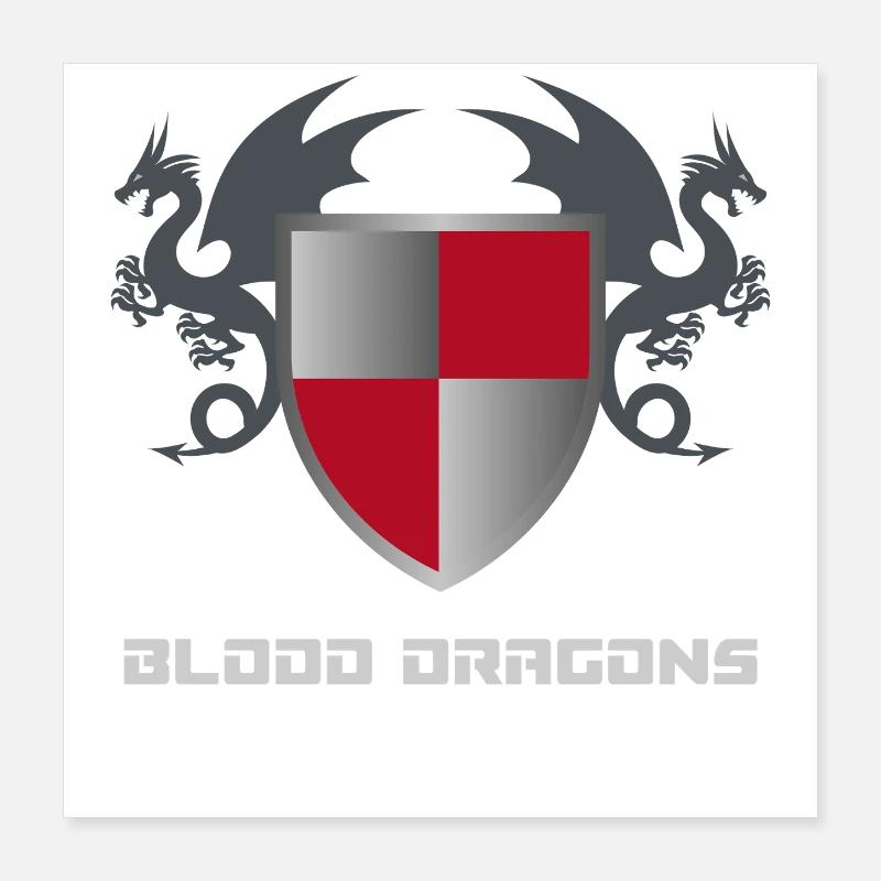 Dragons Shield - Medieval Rock Metal Tee Poster 16" x 16" (40x40 cm)