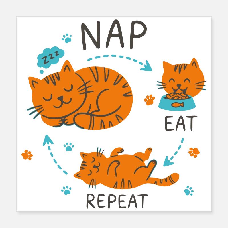 Conception de chat Manger Répétition Sieste Poster 40 x 40 cm