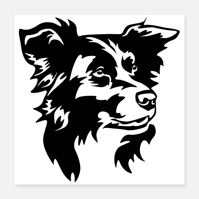Border Collie Head Poster 16" x 16" (40x40 cm)