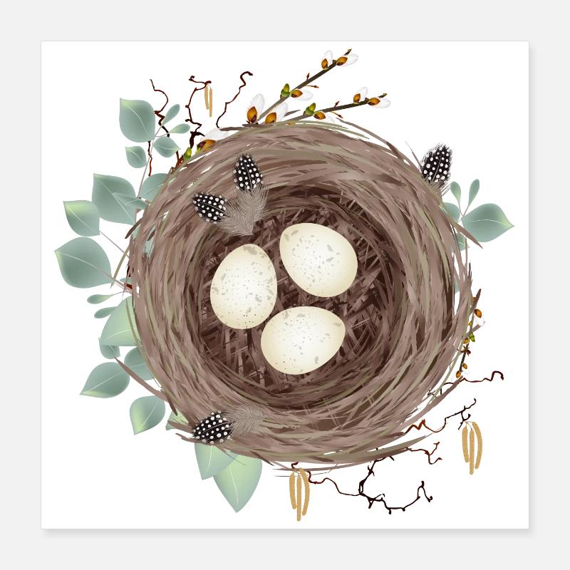 Vogelnest oder Osternest mit drei Eier und Federn Poster 40x40 cm