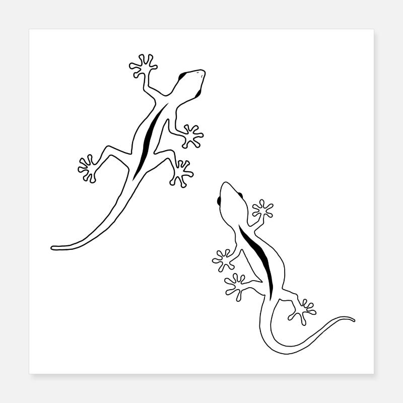 Zwei Eidechsen Poster 40x40 cm