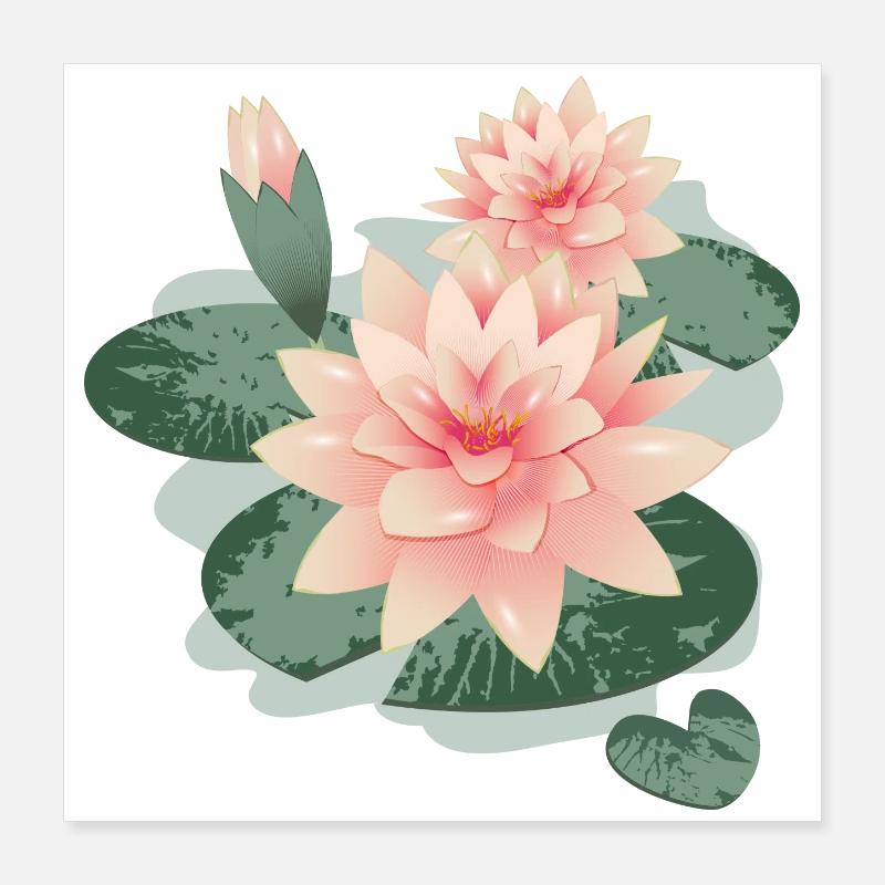 Fleurs de nénuphars avec bourgeon dans l’étang de nénuphars Poster 40 x 40 cm