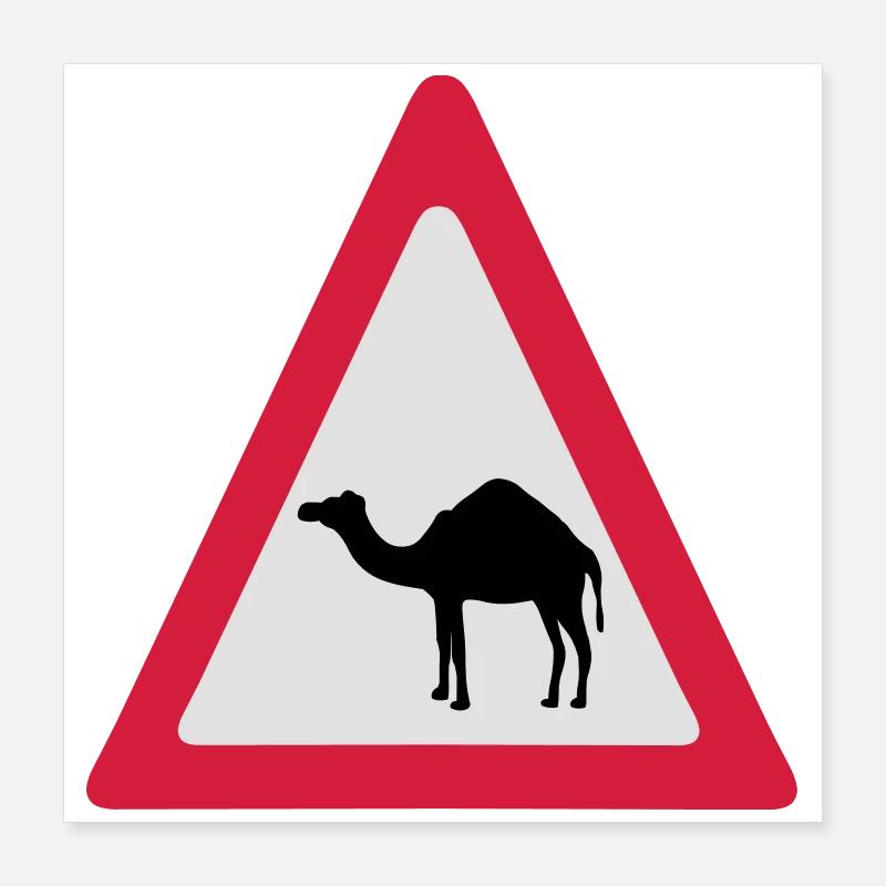 Caution Camel Traffic Sign Poster 16" x 16" (40x40 cm)