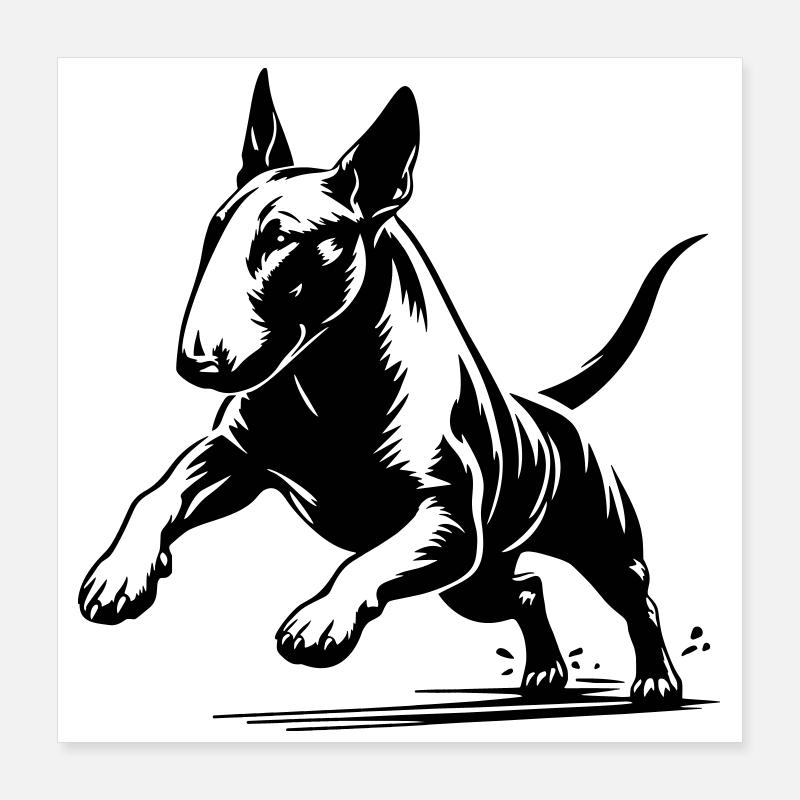 Bull terrier Poster 40 x 40 cm
