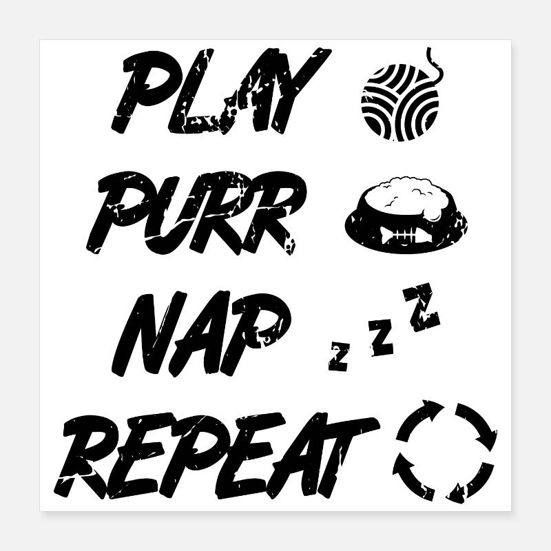 Routine du chat Poster 40 x 40 cm