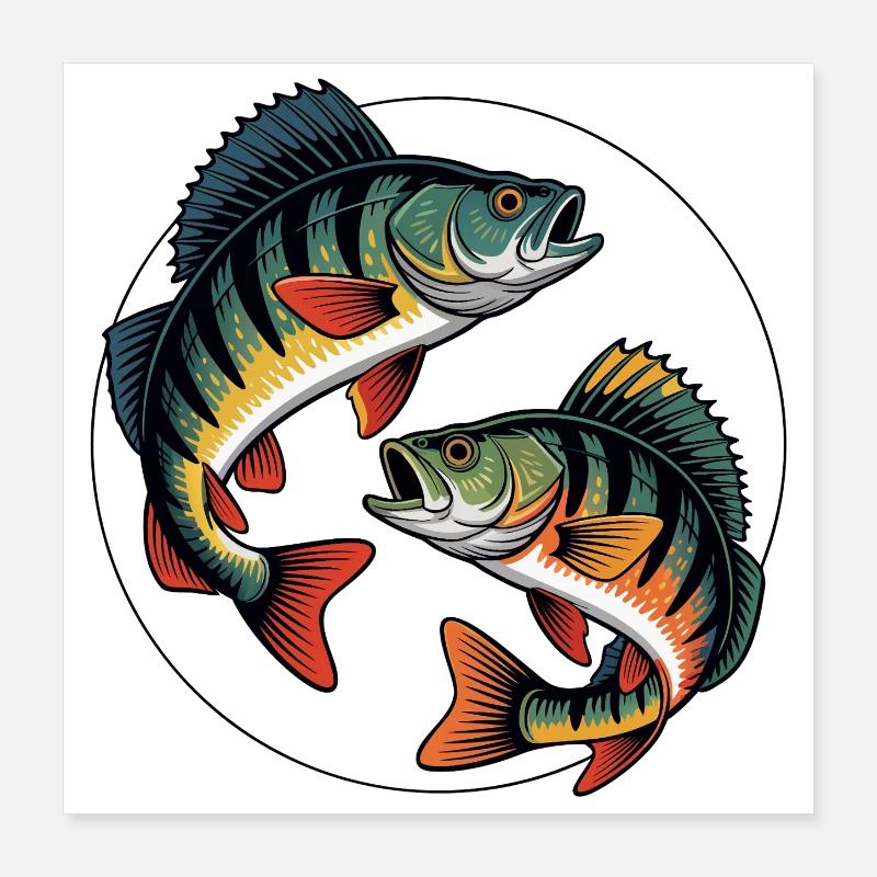 Zwei springende Barsche Poster 40x40 cm