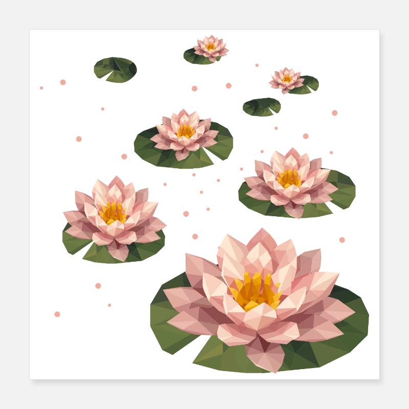 Plusieurs nénuphars polygonaux sur feuilles vertes Poster 40 x 40 cm