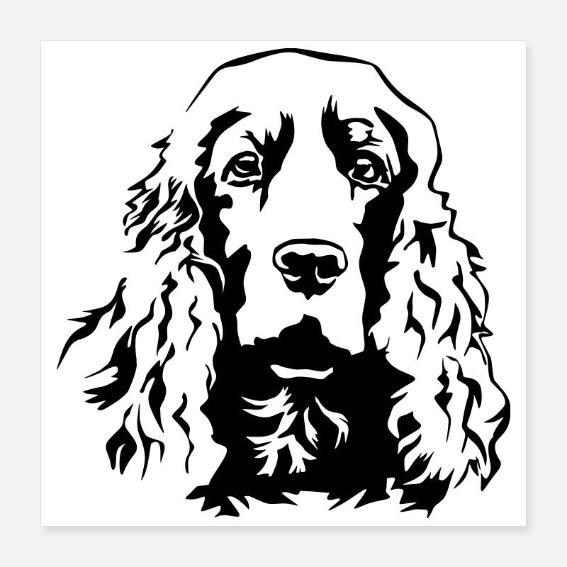 Cocker Spaniel head Poster 16" x 16" (40x40 cm)