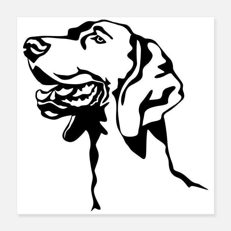 Weimaraner Kopf Poster 40x40 cm