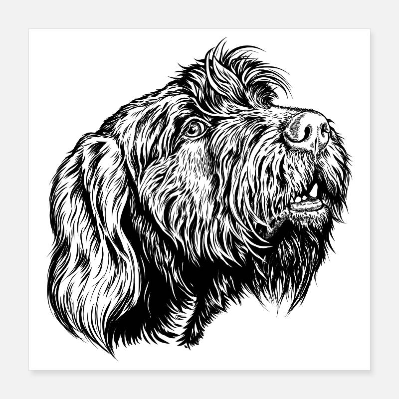 Pudelpointer se joint à la conversation Poster 40 x 40 cm