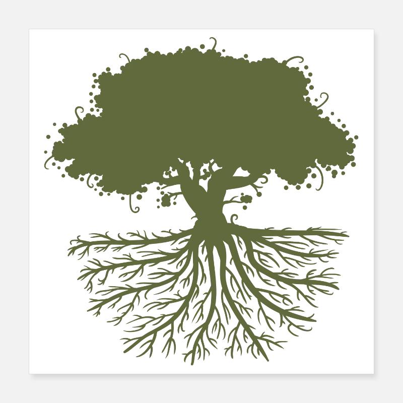 tree roots green Poster 16" x 16" (40x40 cm)