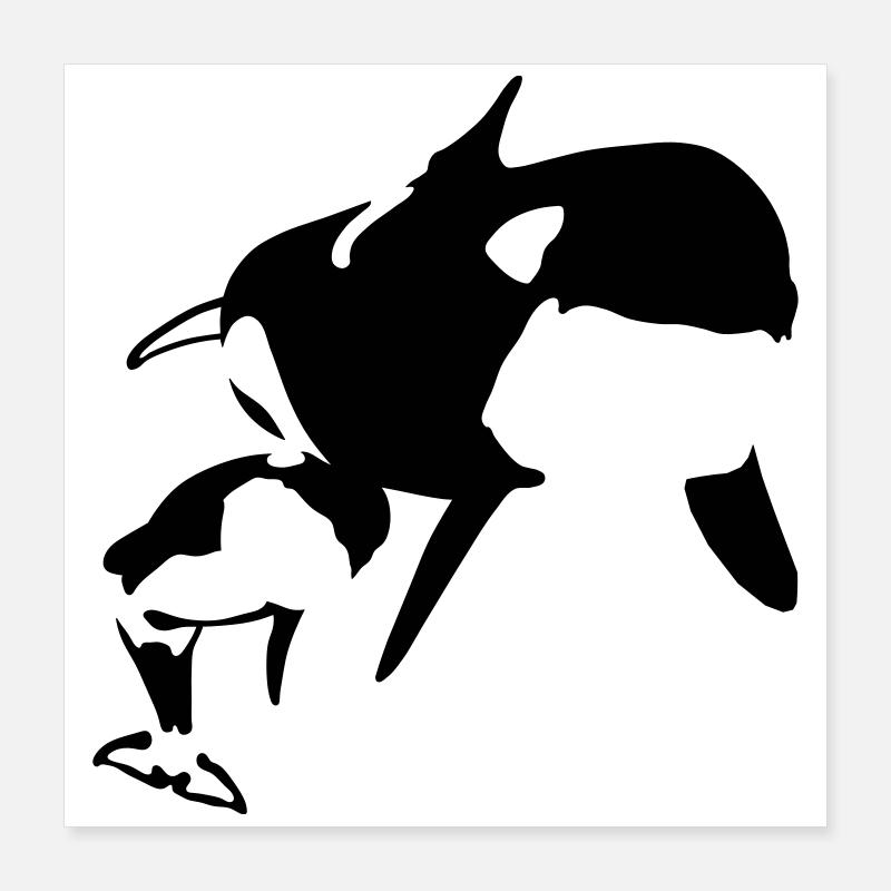 Orca Poster 40x40 cm