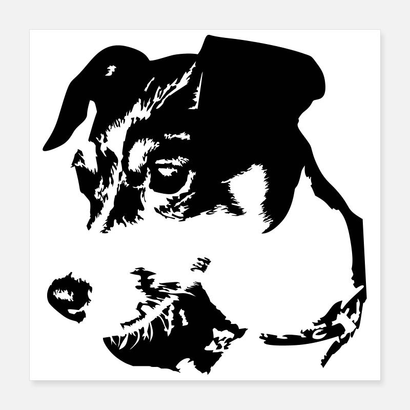 Tête de Jack Russell Terrier Poster 40 x 40 cm
