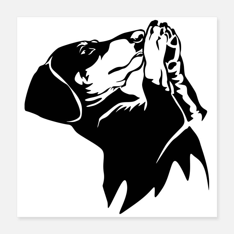 Teckels Poster 40 x 40 cm