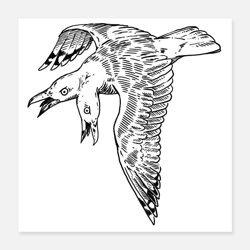 Two-headed seagull Poster 16" x 16" (40x40 cm)