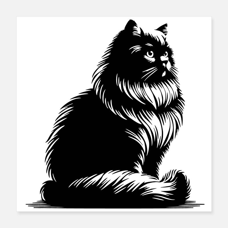 British Longhair Cat Poster 16" x 16" (40x40 cm)