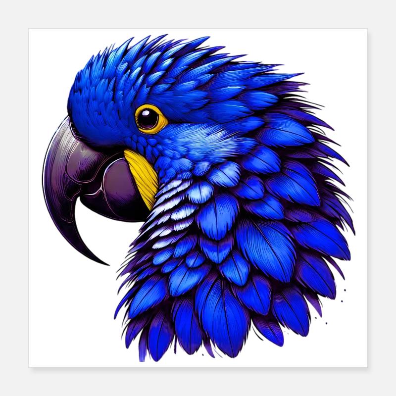 Papagei Poster 40x40 cm