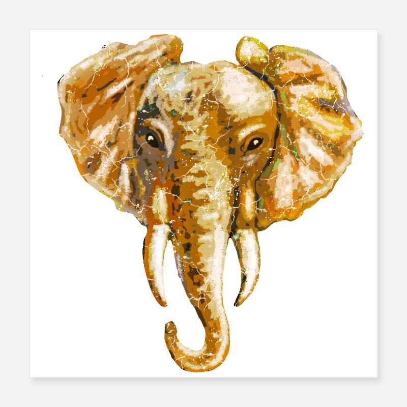 Elefant Poster 40x40 cm
