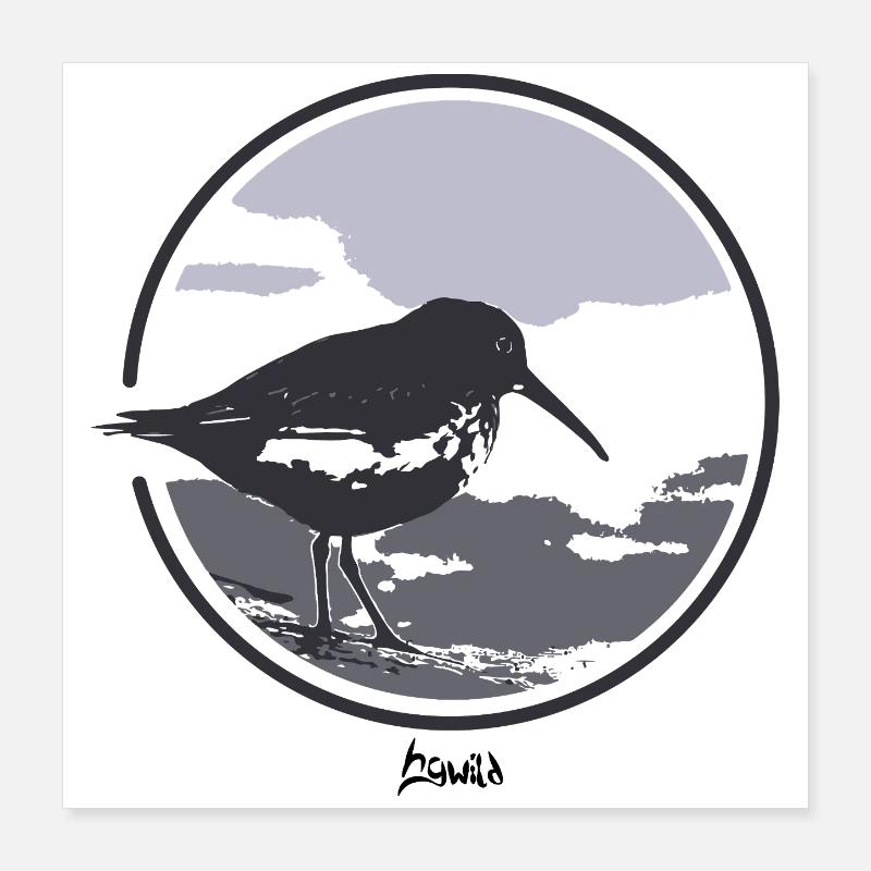 HGWILD - Bécasseau variable Poster 40 x 40 cm