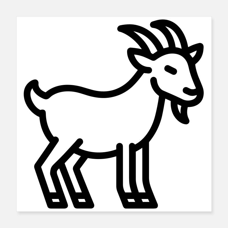 chèvre Poster 40 x 40 cm