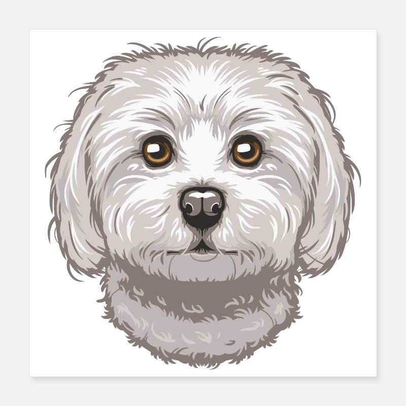 Maltese Poster 40x40 cm