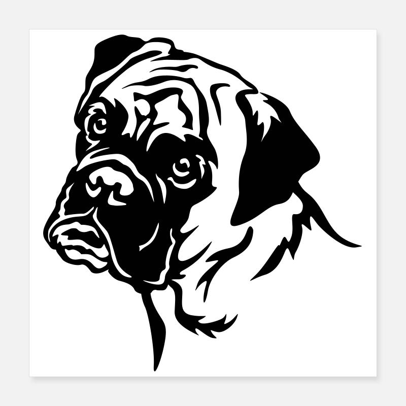 Boxer Kopf Poster 40x40 cm